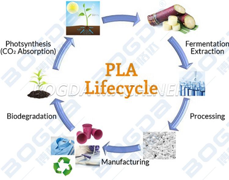 Biodegradable PLA Environmental Packaging Sheet Extrusion Equipment